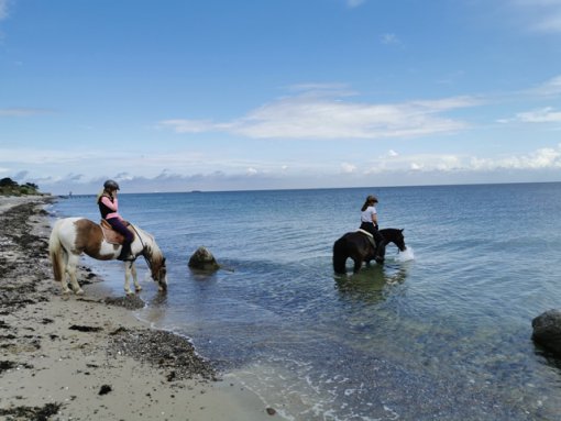 Ausritt am Strand