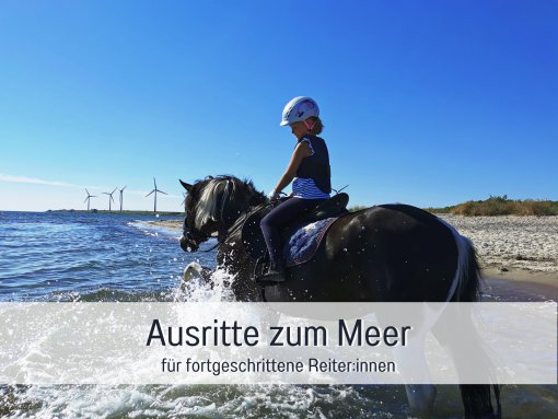 Ponyreiten und noch viel mehr ...