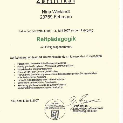 Reitpädagogik