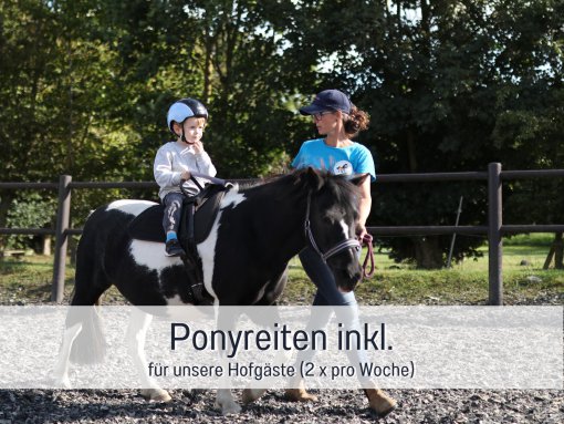 Ponyreiten
