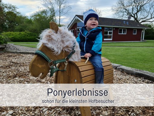 Holzpony