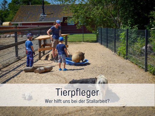 Tiere füttern