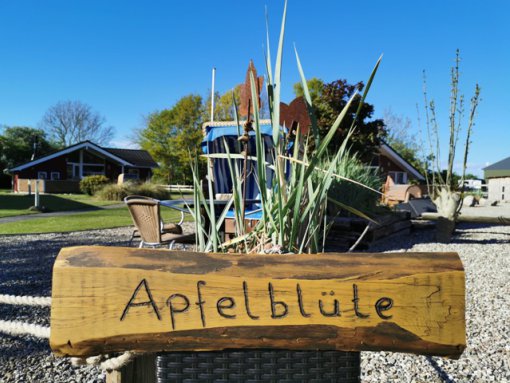 Apfelblüte - Ferienwohnung Abfelblüte