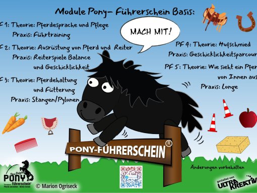 Module Pony-Führerschein