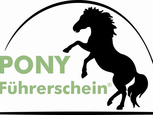 Logo Pony- Führereschein
