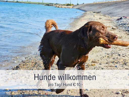 Hunde willkommen