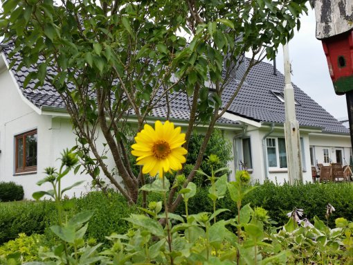 Bauernhaus mit der Ferienwohnung Apfelblüte