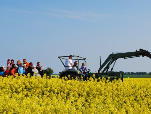 Ausflug mit dem Traktor